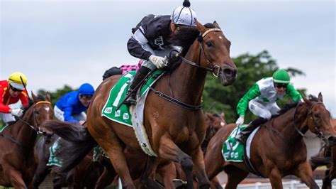 horse racing live stream reddit.